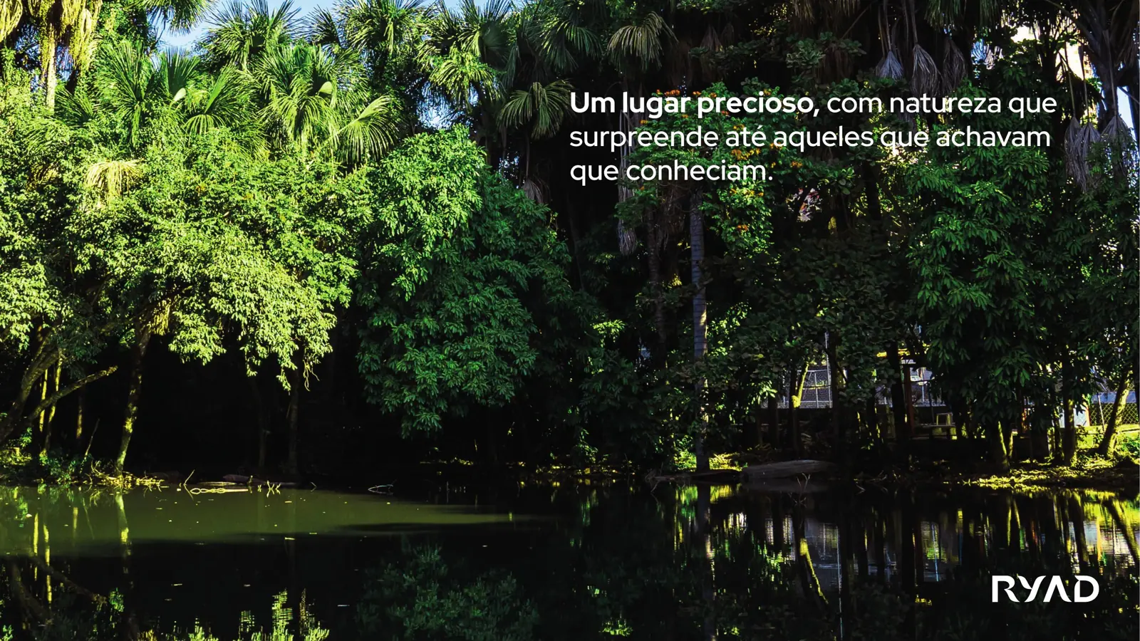 Perspectiva do Ryad, imagem 2