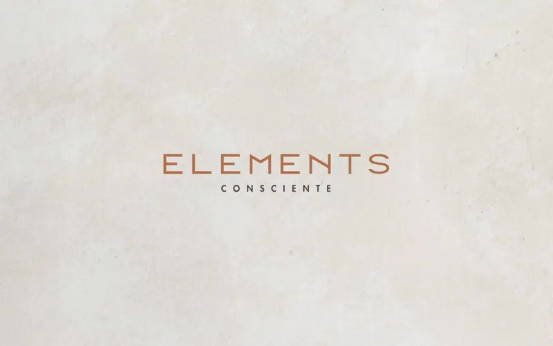 Perspectiva do Elements Consciente
