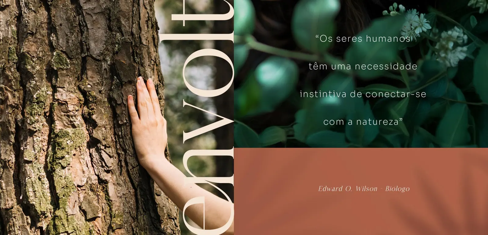 Perspectiva do Envolt, imagem 2
