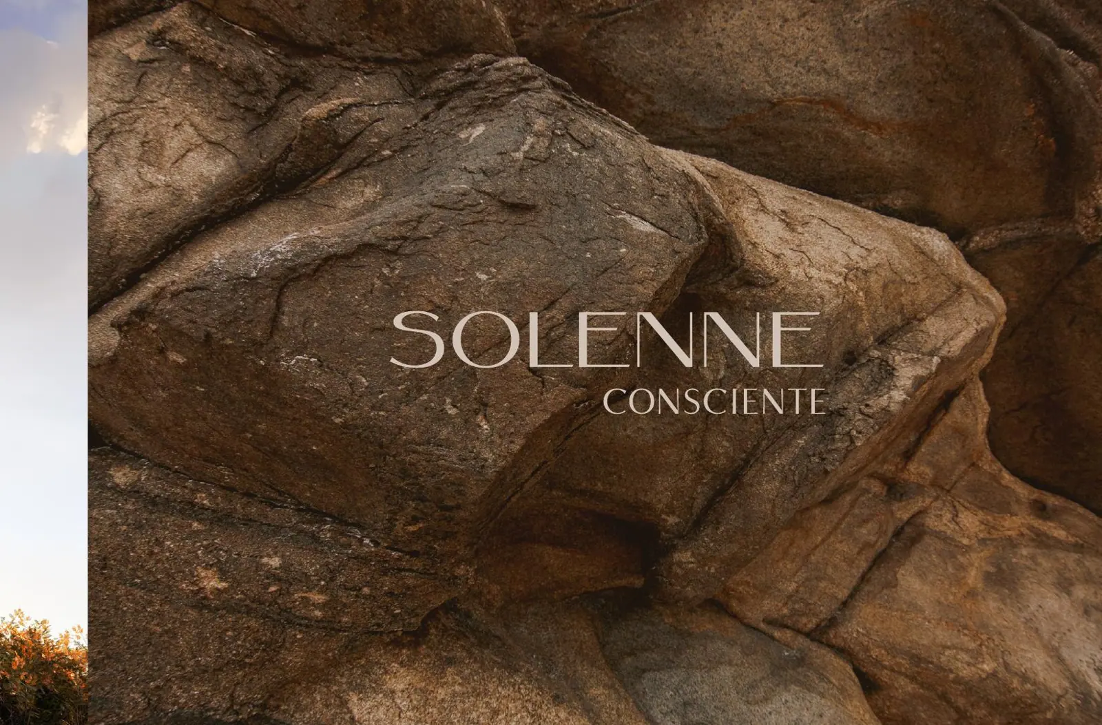 Perspectiva do Solenne Consciente, imagem 4